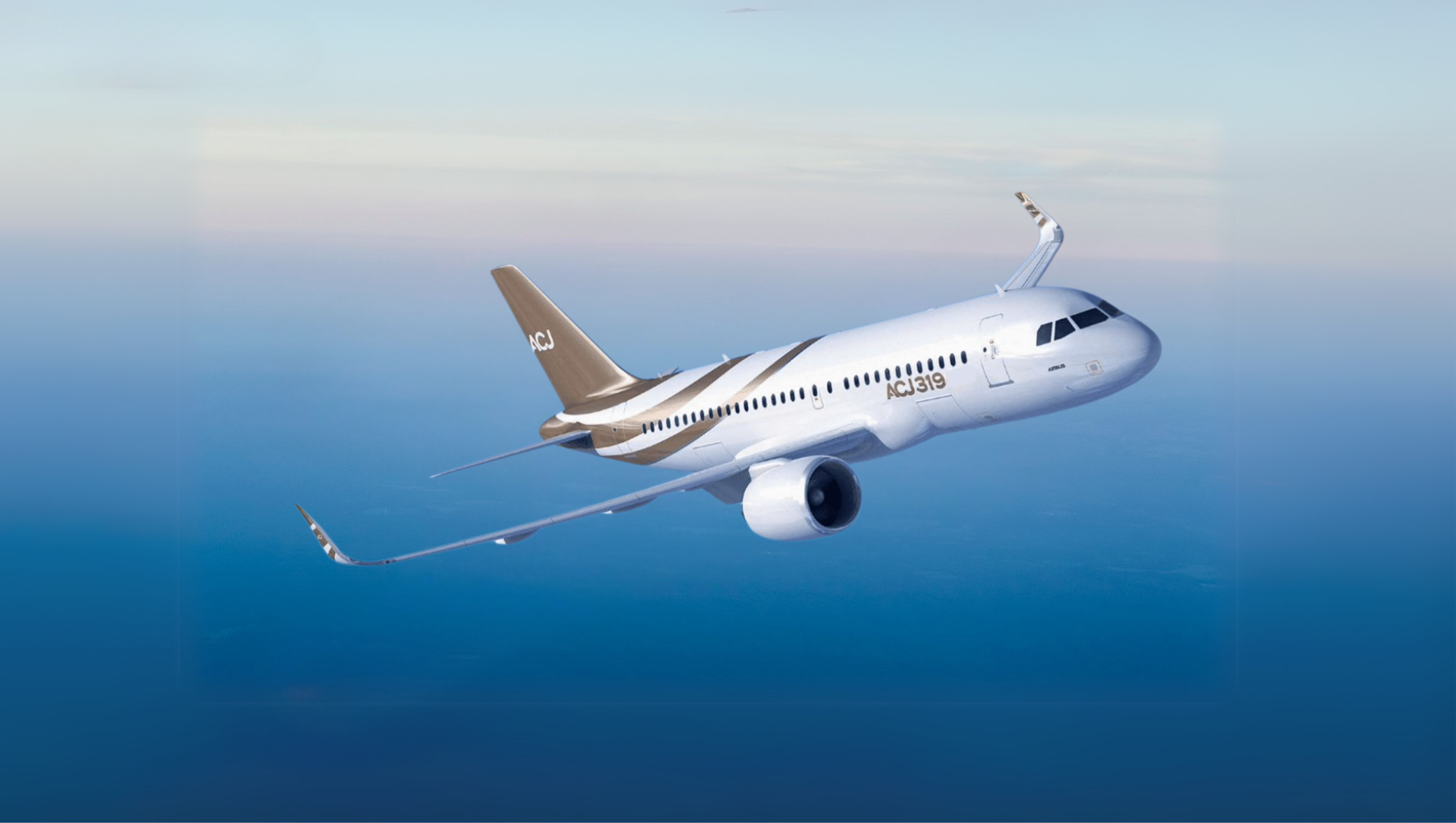 Airbus ACJ - VIP Airliner