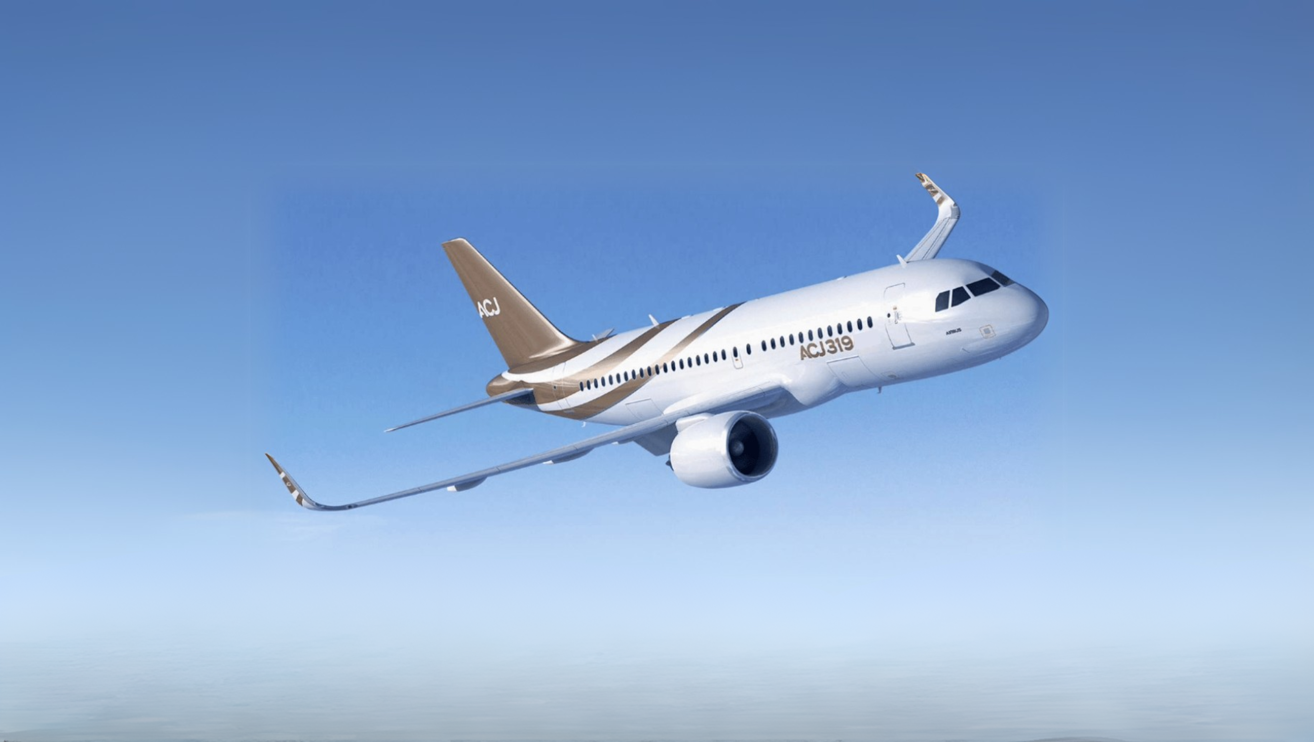Airbus ACJ - VIP Airliner