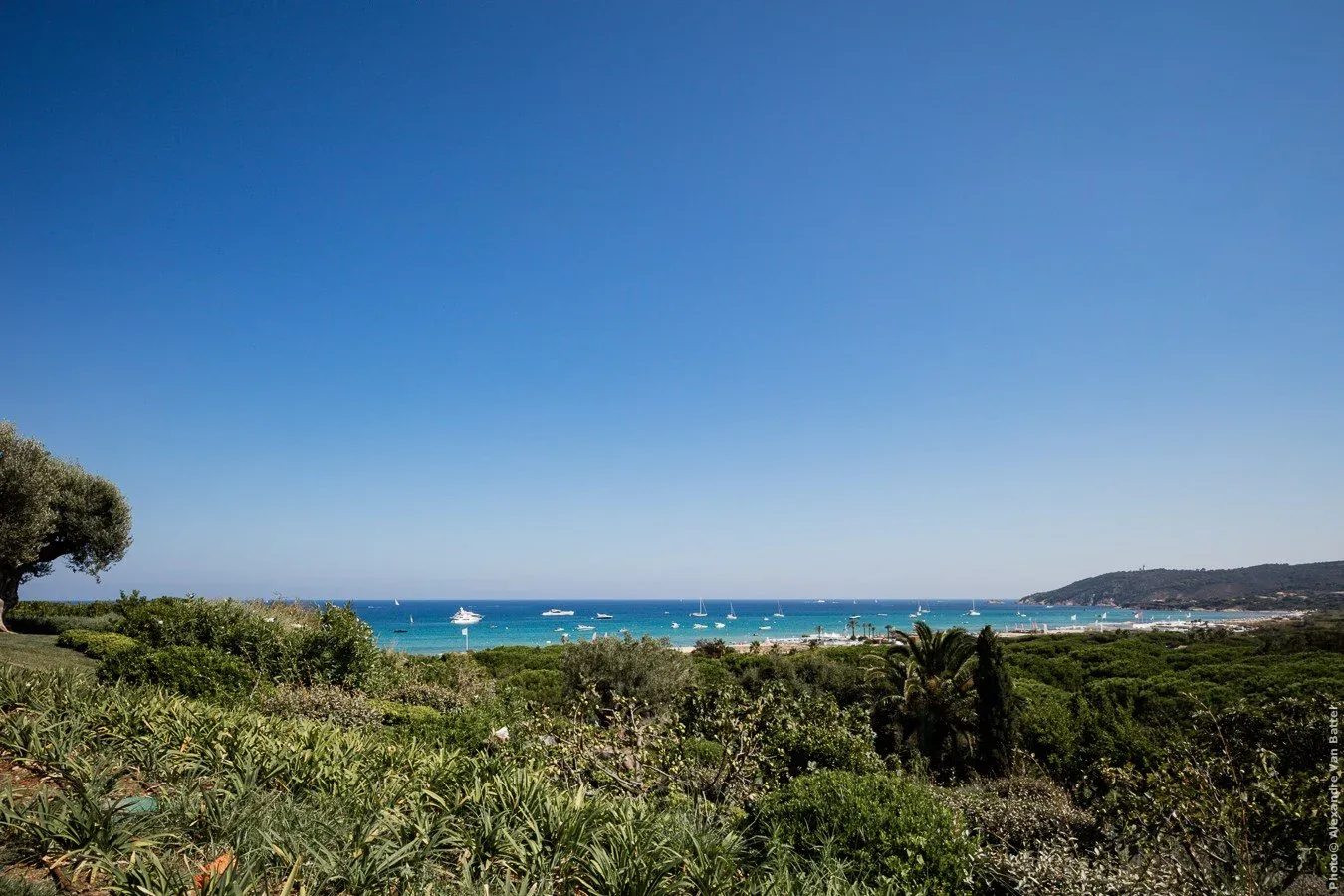 Photo 29 - Villa Anna Pampelonne, Saint-Tropez