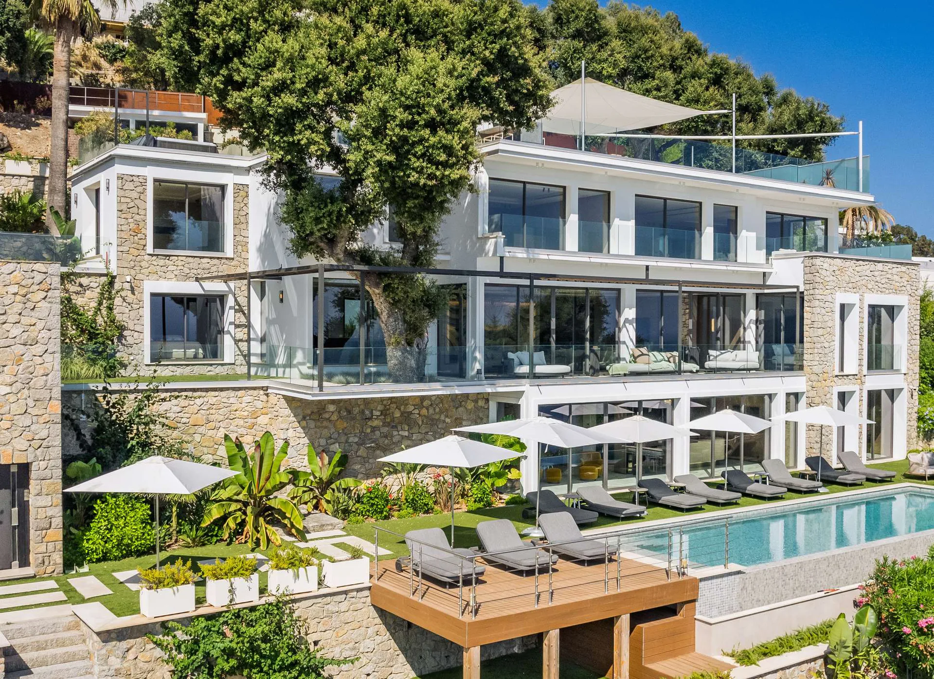 Photo 38 - Villa Elisabeth Hauteurs de Cannes