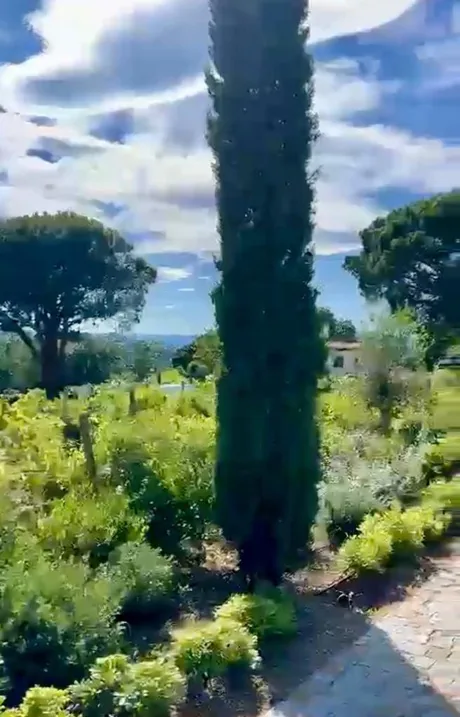 Photo 7 - Villa Tremoliere Tahiti, Saint-Tropez