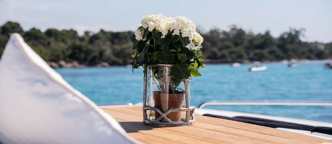 Photo 15 of yacht Palumba - Sunseeker Predator 84